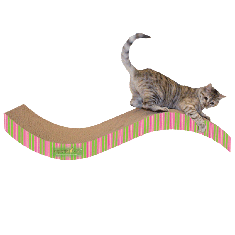 Giant Purr-fect Stretch Cardboard Cat Scratcher - Stripes