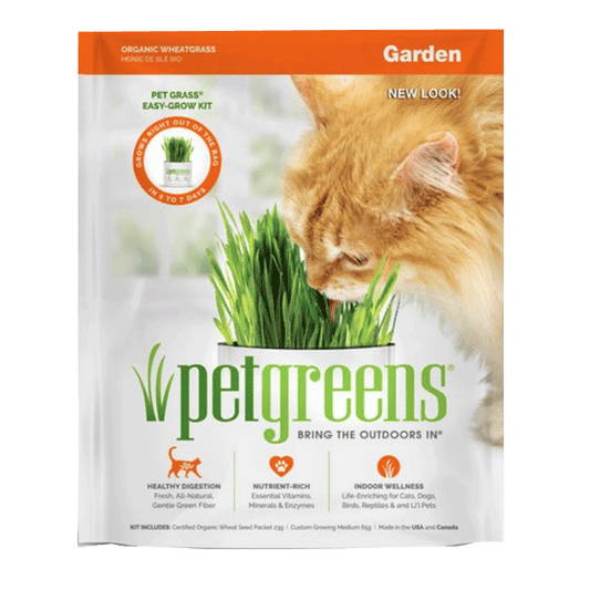 Pet Greens Self Grow Garden Pet Grass