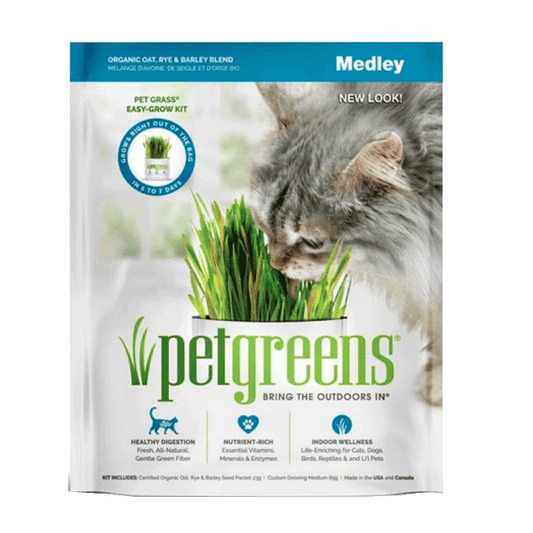 Pet Greens Self Grow Medley Pet Grass