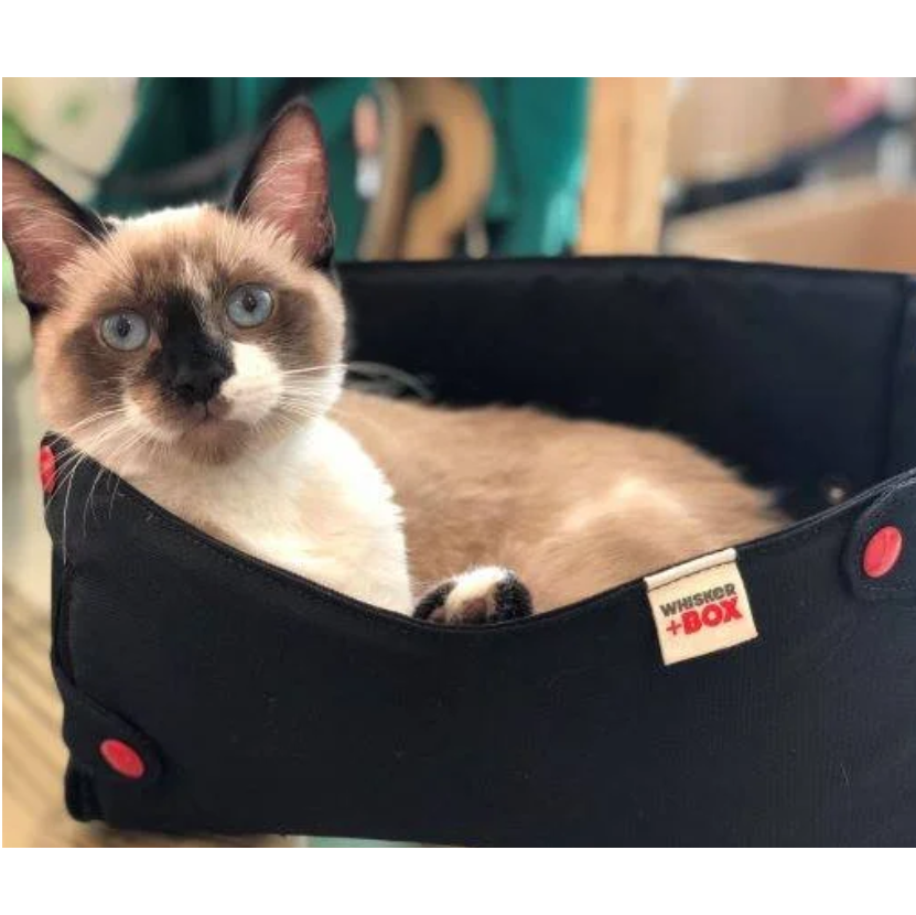The Whisker Box Cat Bed