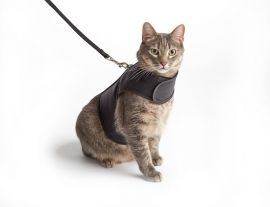 Kitty Holster Cat Harness