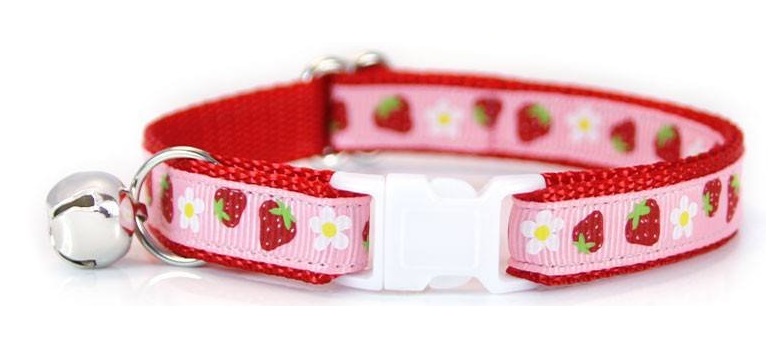 Shop Cat Collars and Harnesses Now